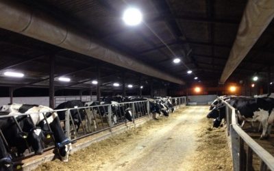 Lackham Farm and Estate